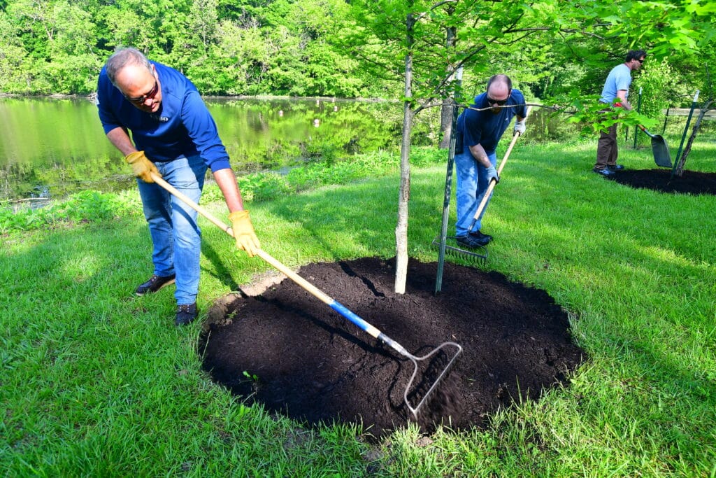 QC Conveyors volunteers spreading mulch around trees